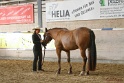 21-ApHC HMC_099